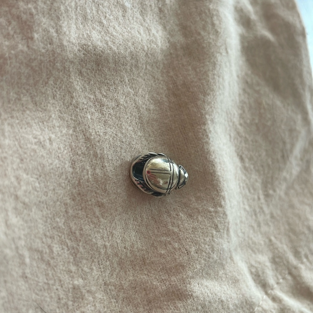 Sterling Silver Trollbead Scarob 30$